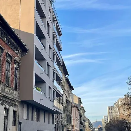 Downtown Penthouse * ブダペスト