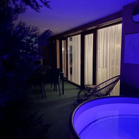 Downtown Penthouse 公寓 *